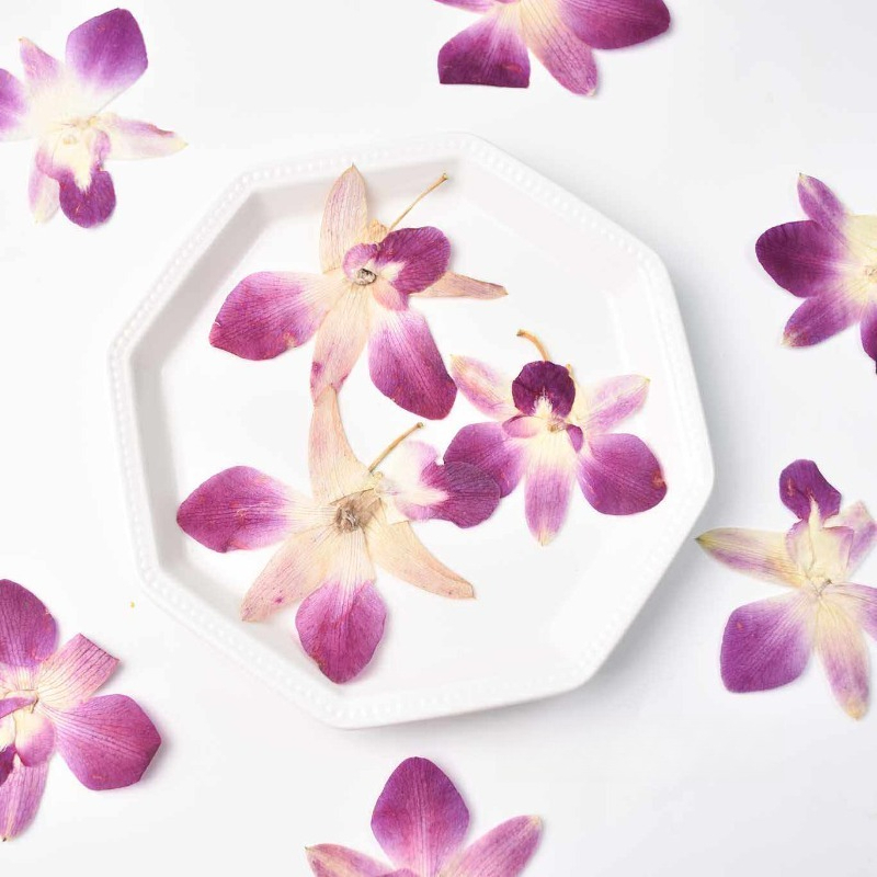 Pressed Flower Frame - 4 peças, Flores de Orquídea Borboleta