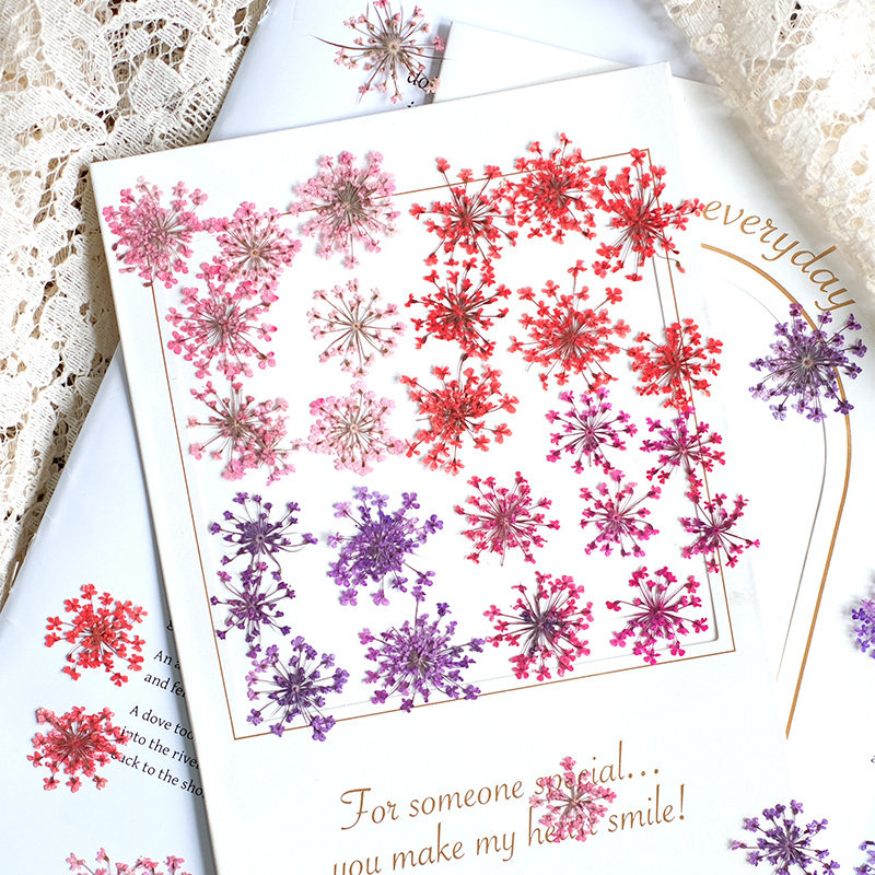 Pressed Flower Frame - 24 peças, 2-2,5cm, Pétalas de Flores