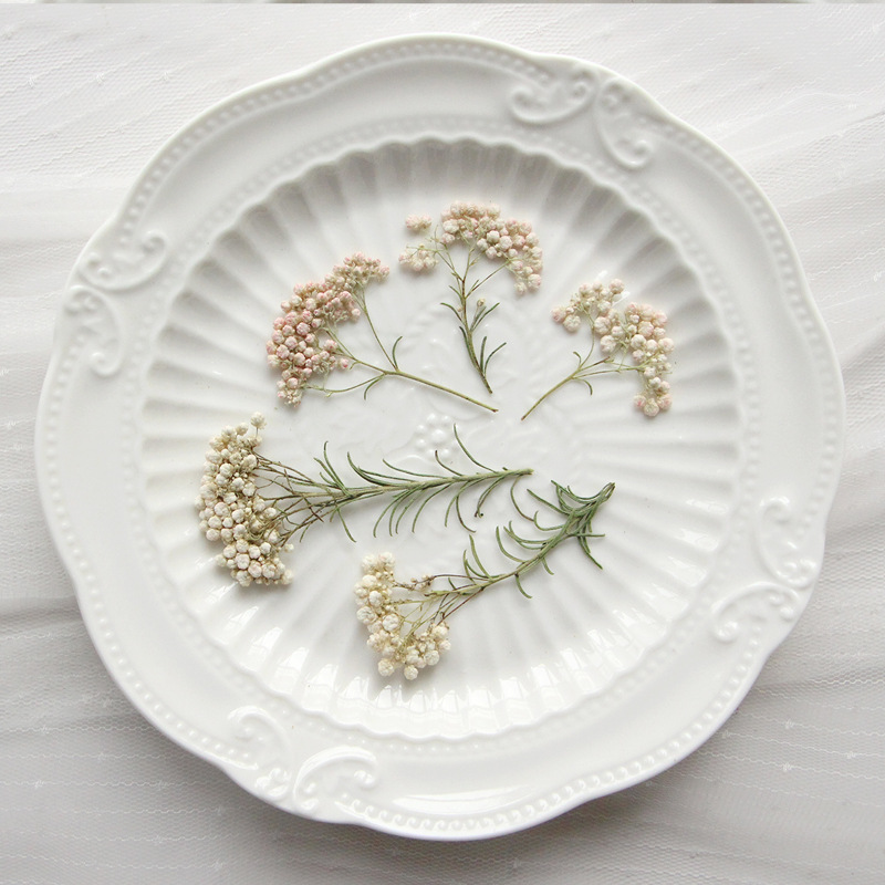 Pressed Flower Frame - 12 peças, Ramos de Flores de