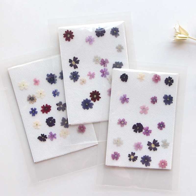 40 pçs/lote, mini beleza cerej - Pressed Flower Frame avaliação e preço