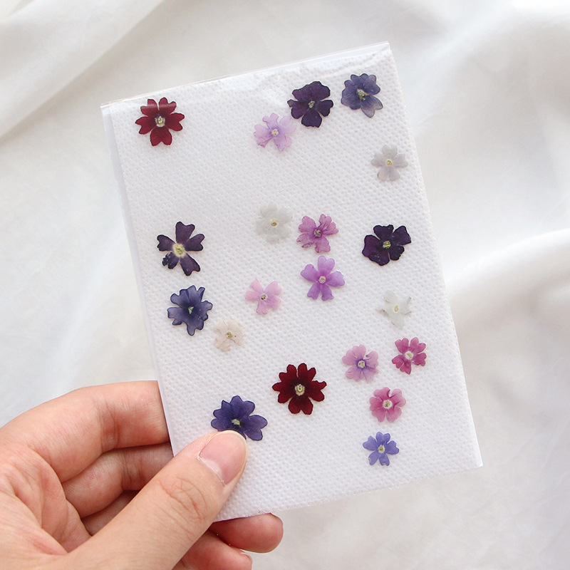40 pçs/lote, mini beleza cerej - Pressed Flower Frame avaliação e preço