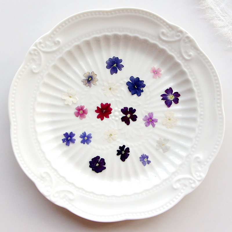 40 pçs/lote, mini beleza cerej - Pressed Flower Frame avaliação e preço