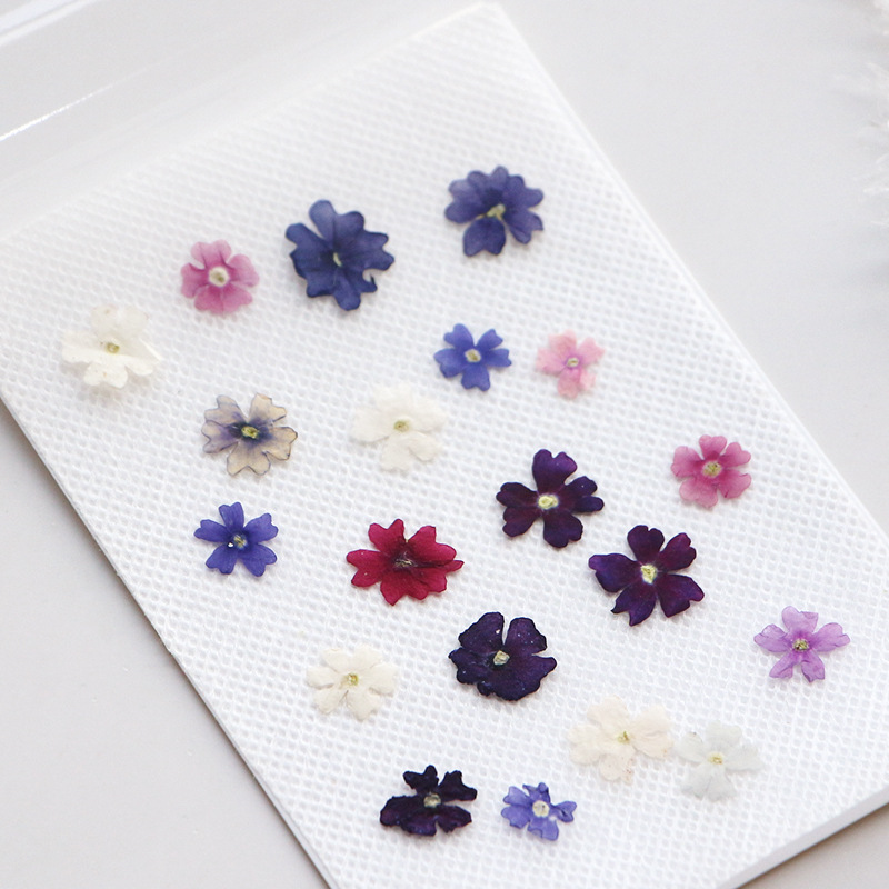 40 pçs/lote, mini beleza cerej - Pressed Flower Frame avaliação e preço