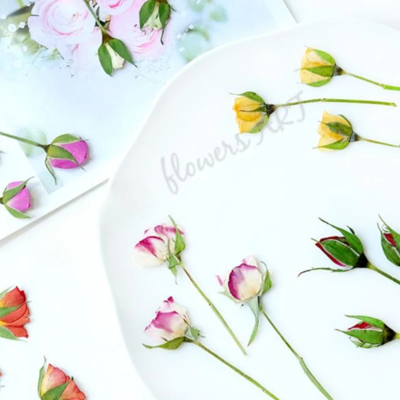 Pétalas de Rosa Prensadas, Flo - Pressed Flower Frame avaliação e preço