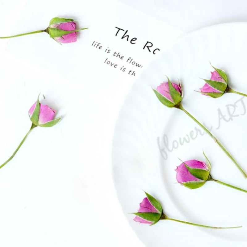 Pétalas de Rosa Prensadas, Flo - Pressed Flower Frame avaliação e preço