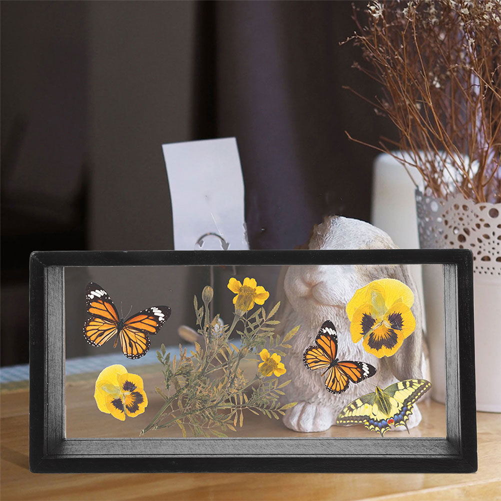 2 Peças de Moldura de Acrílico - Pressed Flower Frame avaliação e preço
