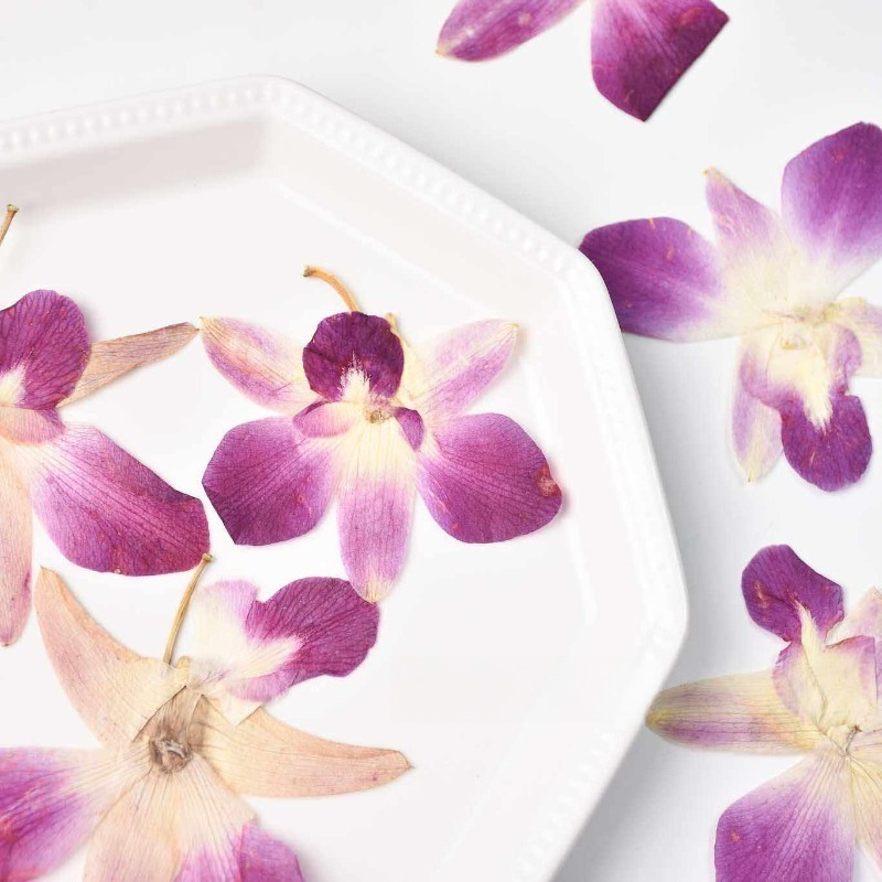 4 peças, Flores de Orquídea Bo - Pressed Flower Frame avaliação e preço