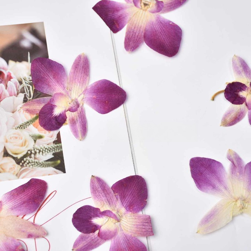 4 peças, Flores de Orquídea Bo - Pressed Flower Frame avaliação e preço