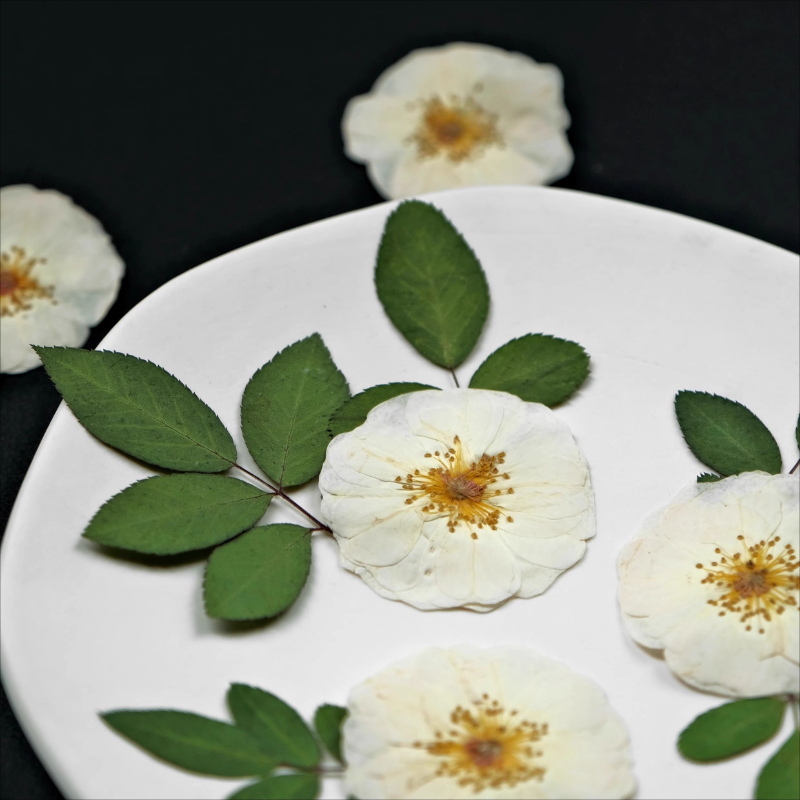 6 peças, 9 peças, rosa branca  - Pressed Flower Frame avaliação e preço