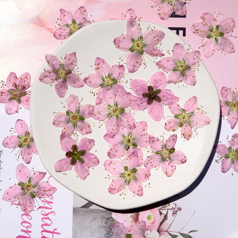 Flores Secas Prensadas de Flor - Pressed Flower Frame avaliação e preço