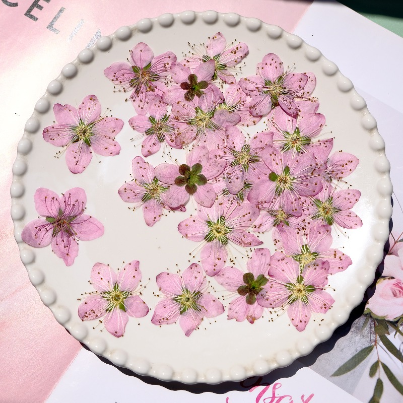 Flores Secas Prensadas de Flor - Pressed Flower Frame avaliação e preço