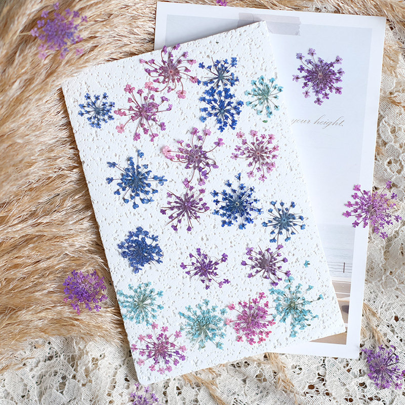 24 peças, 2-2,5cm, Pétalas de  - Pressed Flower Frame avaliação e preço