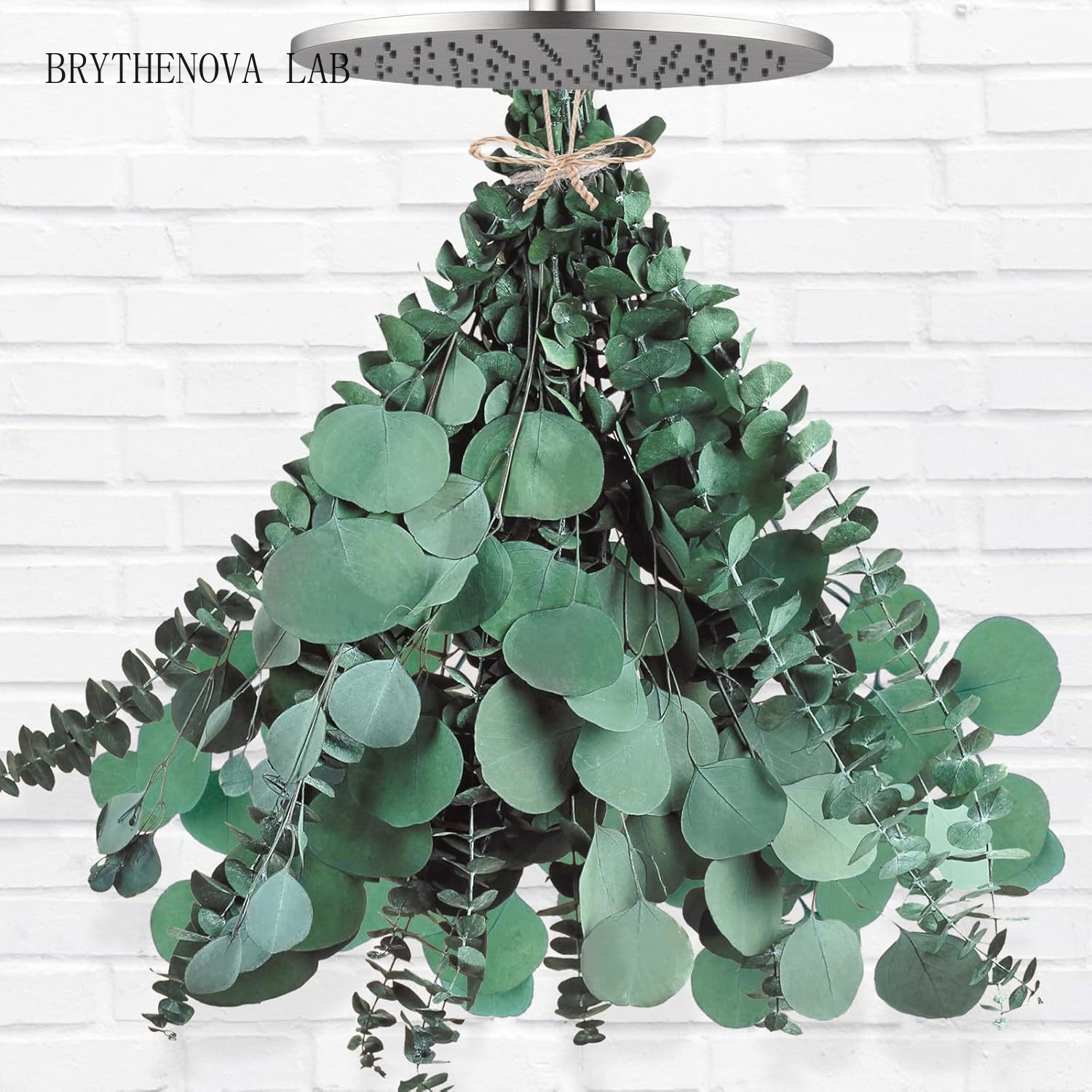 12 Peças Grandes de Eucalipto  - Home Decor Garland avaliação e preço